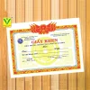Giấy khen THPT 04
