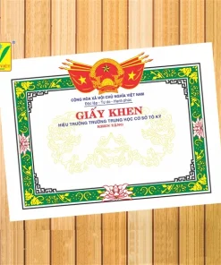 Giấy khen THCS 01