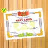 Giấy khen tiểu học 01