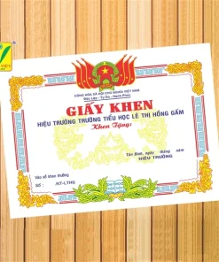 Giấy khen tiểu học 01