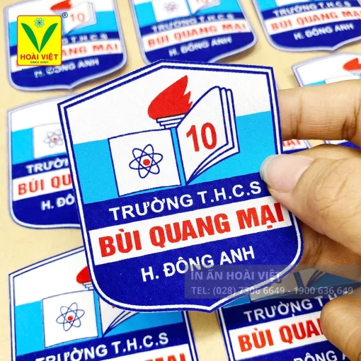 Logo Trường Trung Học Cơ Sơ 17 Logo Trường THCS Bùi Quang Mại