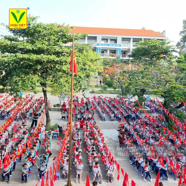Cờ cầm tay