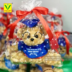 Gấu bông tốt nghiệp 16 Gấu bông chúc mừng tốt nghiệp với biểu cảm vui nhộn